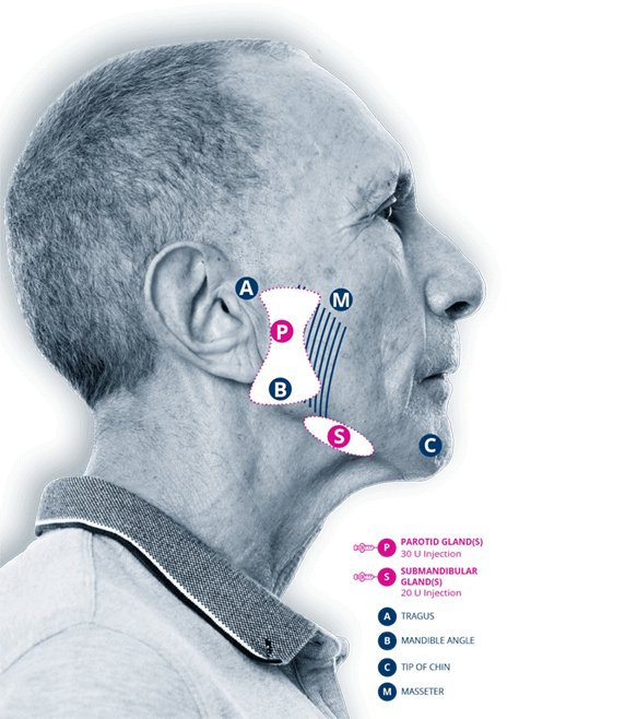 Video labelled diagram